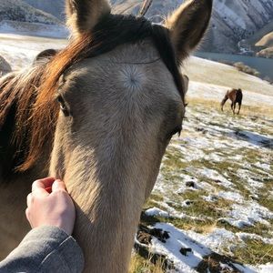 Meet your Posher, Mollie